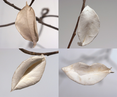 Paper Leaves